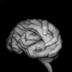 Το Άβαταρ του/της Fay